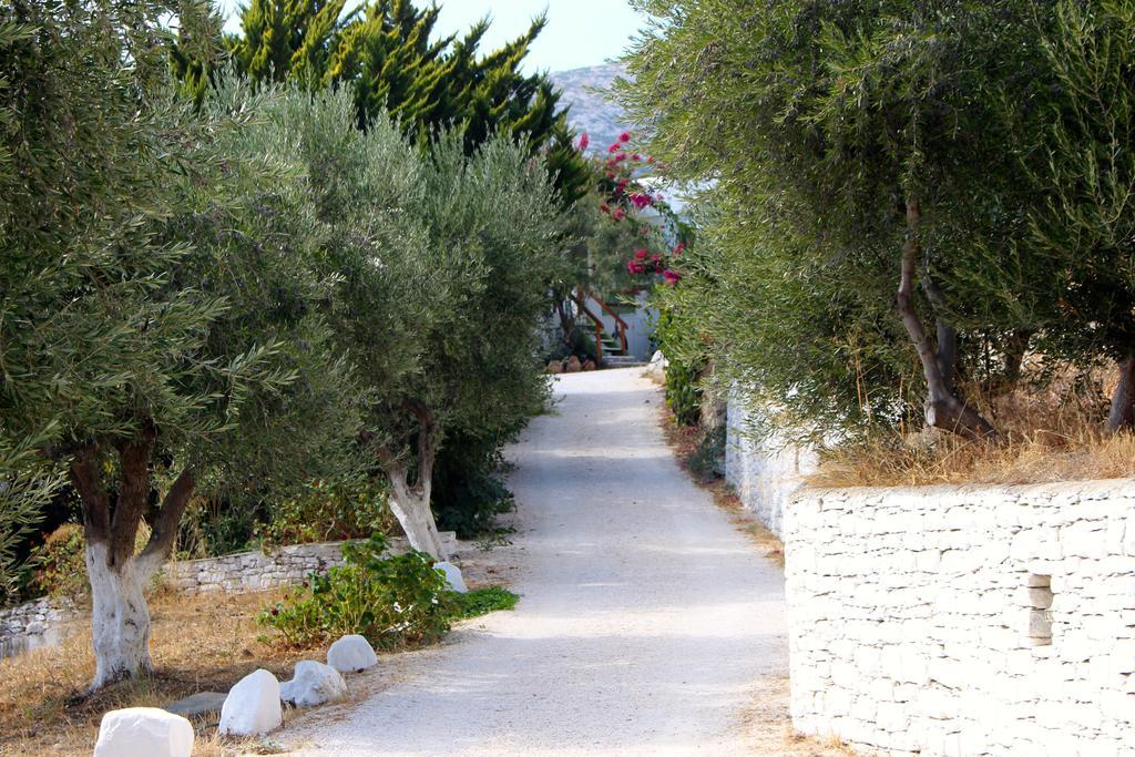 Eleonas Apartments Apollonia  Bilik gambar